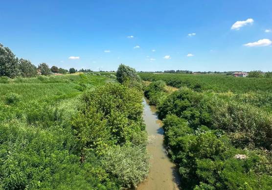 Lo stato attuale del fiume