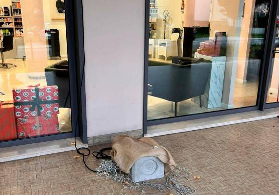 Rimini. Rubato l’albero di Natale dal negozio. Il titolare: “Le telecamere hanno ripreso il ladro”