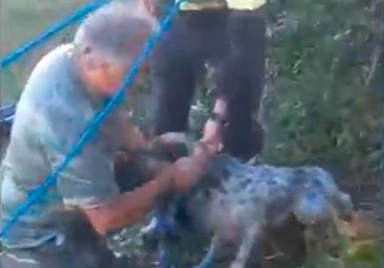 Novafeltria, cane da caccia cade in un pozzo: salvato dai vigili del fuoco VIDEO