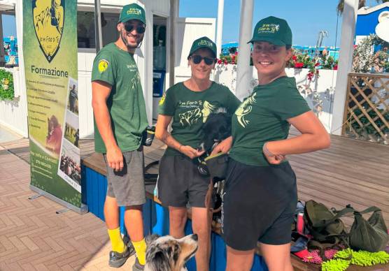 Due momenti dell’animazione per cani all’Altamarea Beach Village