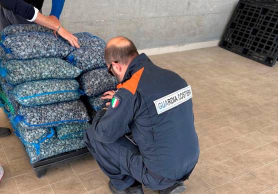 Cesenatico, pescano oltre i limiti e nascondono le vongole nella stiva e in cabina: pescatori multati di 2mila euro