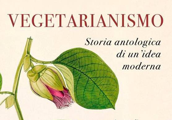 «Per capire il vegetarianismo dobbiamo scardinare ciò che pensiamo di sapere». La filosofa riminese Cecilia Muratori lo spiega domani al Lapidario