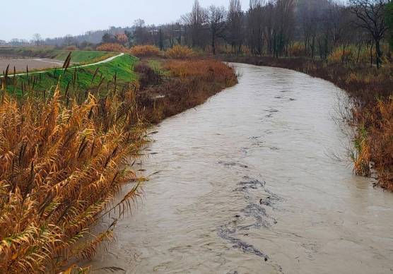 Castel Bolognese, creato un varco sull’argine destro del Senio: “Stiamo lavorando per la sicurezza di tutti”