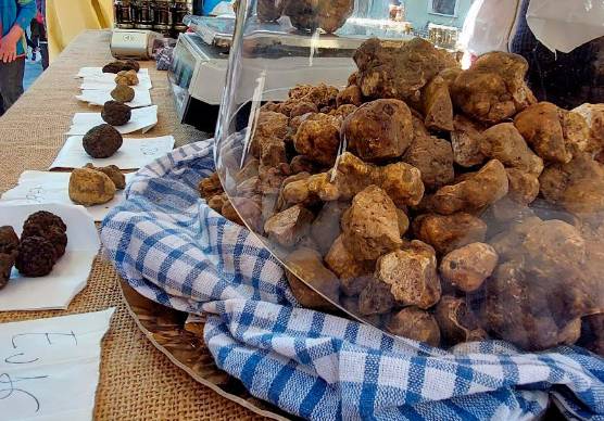 Sant’Agata Feltria, alla fiera si premia il miglior tartufo