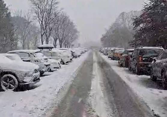 Forlì, bufera di neve di primavera: problemi alla circolazione, preoccupazione per i frutteti VIDEO