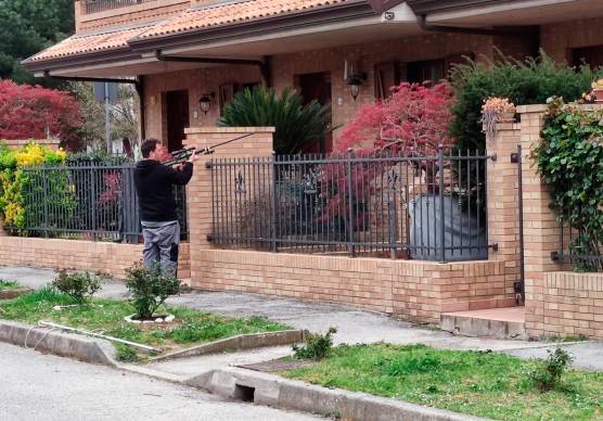 Il veterinario lo ha anestetizzato e messo al sicuro