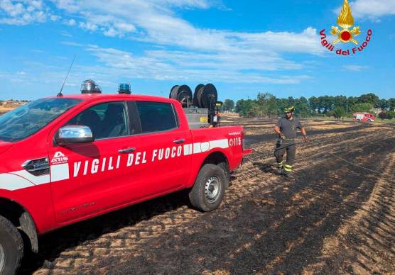 I vigili del fuoco sul terreno bruciato