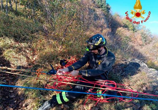 Valmarecchia. Cane precipita in un dirupo sul monte Pincio: salvato dai vigili del fuoco dopo 4 ore