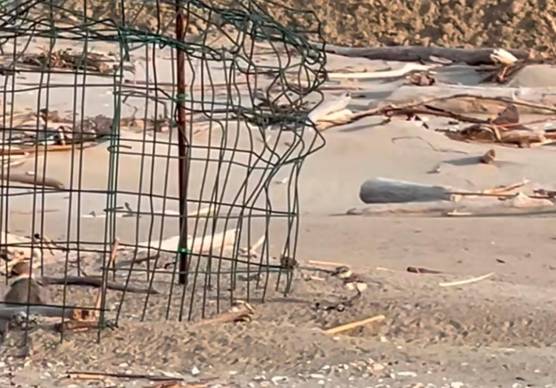 Un frame del video pubblicato da Sottomarino 54