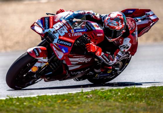 Pecco Bagnaia