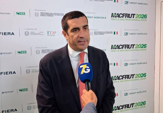 De Pascale: “Forza nuova a Predappio? Una vergogna. Ci facesse il piacere di andarsene dall’Emilia-Romagna, qui non è ben accetta”