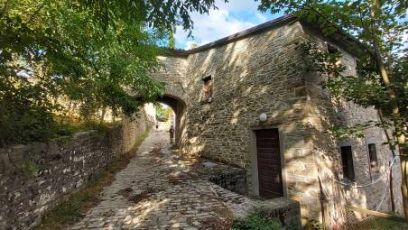 Seconda tappa del tratto romagnolo del Sentiero Italia insieme al Cai di Cesena attraverso la “spina dorsale” del Belpaese per scoprire a passo lento tracciati tra natura e storia