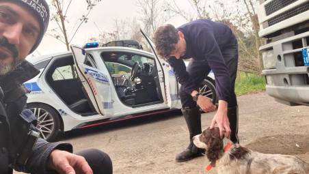 Ravenna, lancia il cane dall’auto in corsa sulla statale Romea