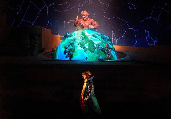 IL PICCOLO PRINCIPE 2026 @Roar Studio