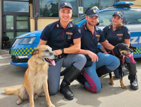 Bagno di Romagna: dispersi lungo la E45, la Polizia salva i cani Leone e Bruno
