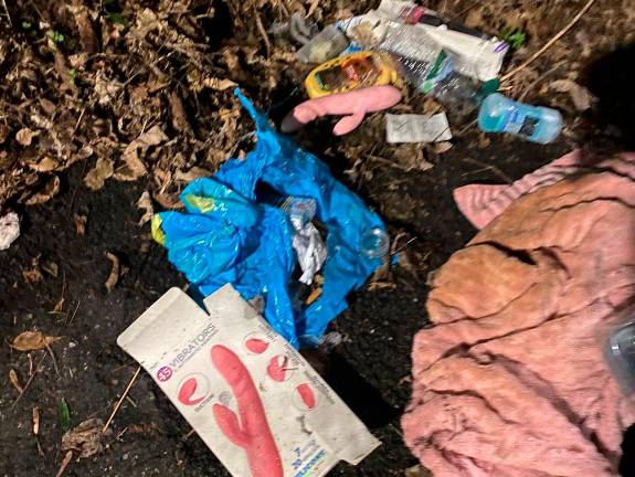 Cesena, la denuncia: “non fanno la differenziata e buttano tutto nei cespugli, compreso il vibratore”