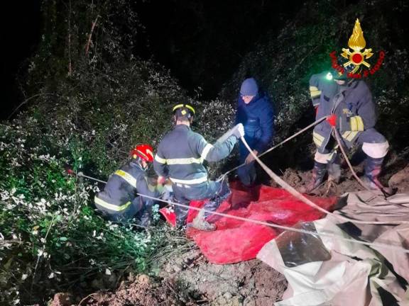 Un cavallo precipita nella scarpata: Vigili del Fuoco al lavoro 8 ore per salvarlo a Dovadola - Gallery