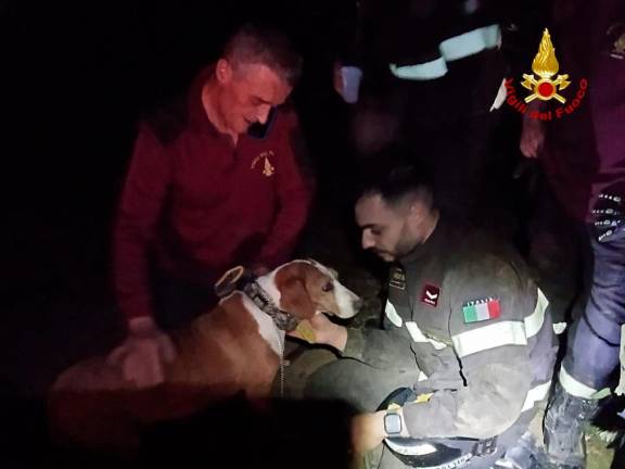Savignano, il cane finisce incastrato in una tubatura: uno scavo di due metri per liberarlo