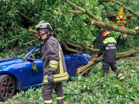 Non si segnalano criticità di rilievo a persone o feriti