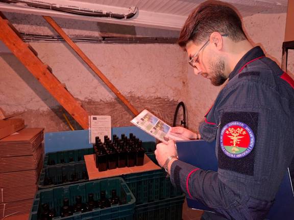 Ravenna, “vendiamo olio extravergine pugliese”, invece era olio di semi di girasole con coloranti: denunciati due coniugi, 3800 litri sequestrati