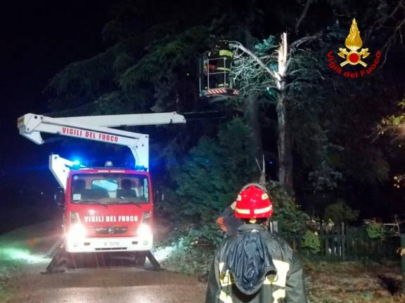 Maltempo a Forlì-Cesena: alberi e rami caduti, circa 20 interventi dei Vigili del Fuoco
