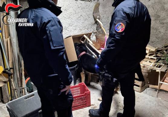 I carabinieri durante l’operazione