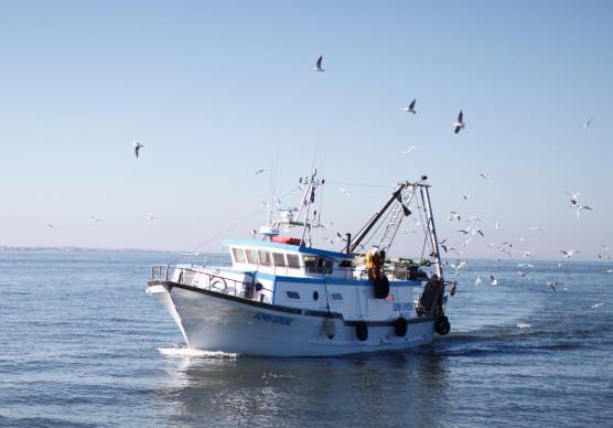Caro gasolio, a Rimini si riducono le uscite dei pescherecci