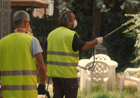 Ravenna. Allarme rientrato: non è Dengue. Sospesa la disinfestazione