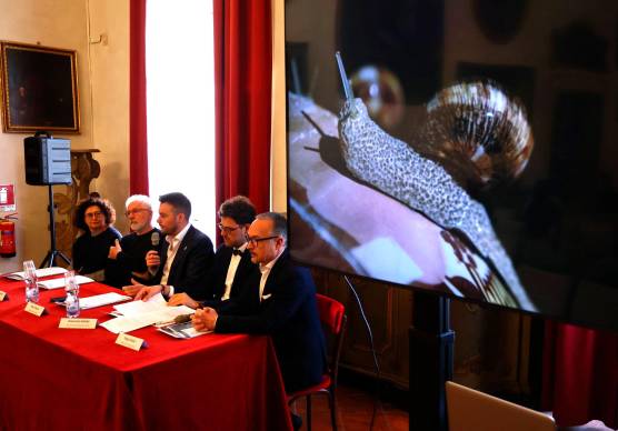 Imola, entro l’anno nascerà il nuovo museo Bertozzi &amp; Casoni a Palazzo Tozzoni VIDEO