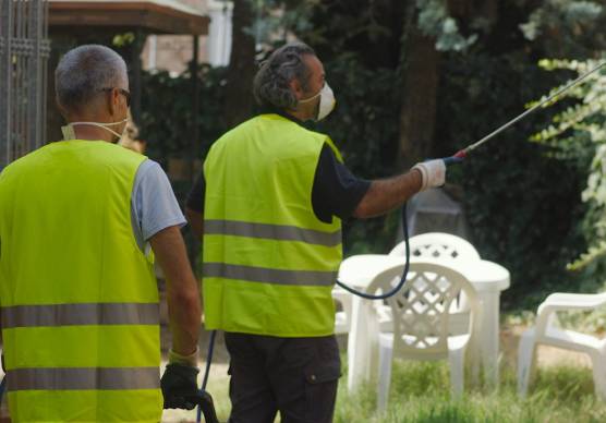 Una disinfestazione è in corso in queste ore in centro a Ravenna