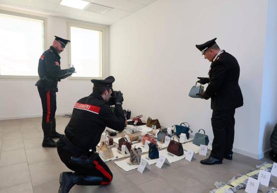 Una brillante operazione dei Carabinieri (Foto e video Zanotti)