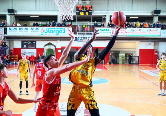 Anaekwe in maglia Virtus contro l’Andrea Costa - foto MMPH