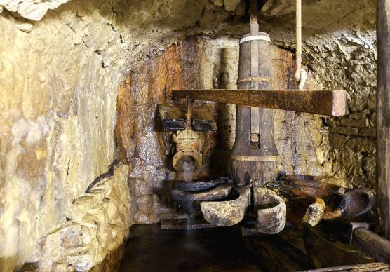 Giornata europea dei mulini 2026, un patrimonio rurale da riscoprire e valorizzare
