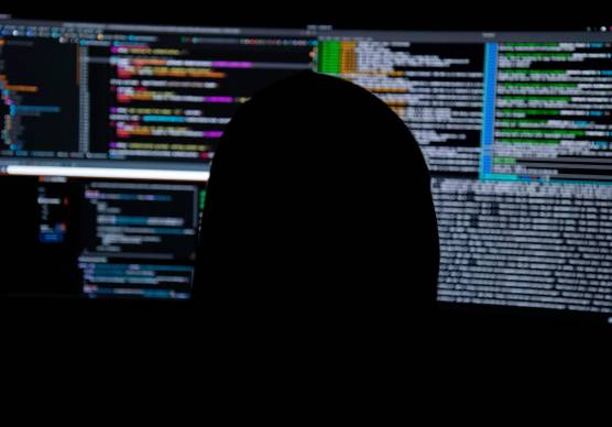 Rimini, adesca un uomo sui social, poi lo ricatta e gli chiede 3mila euro: 18enne denunciato