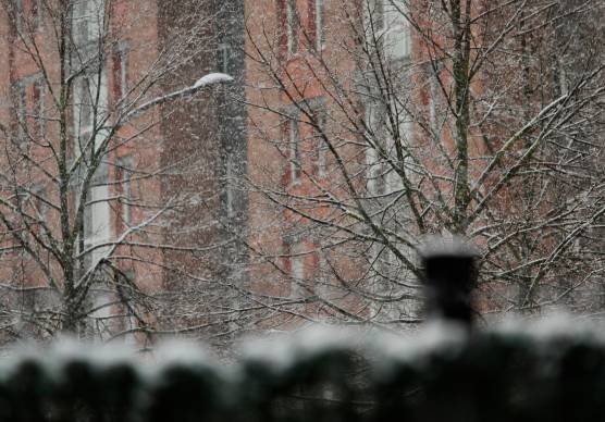 I dati a cura di Emilia-Romagna Meteo