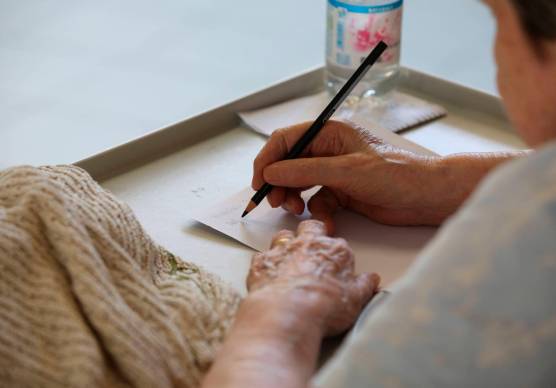 Il processo nato dalla denuncia di un amico di famiglia nominato erede dall’anziana