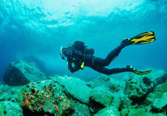 Malore fatale durante l’immersione per un sub forlivese nelle acque dell’isola di Giannutri