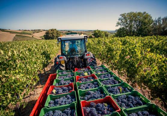 Legacoop Romagna: «Agroalimentare stretto in una morsa: subito interventi strutturali»