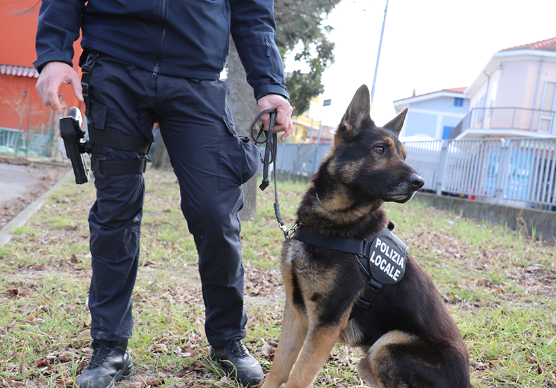 Ravenna, la polizia locale si doterà di un’unità cinofila