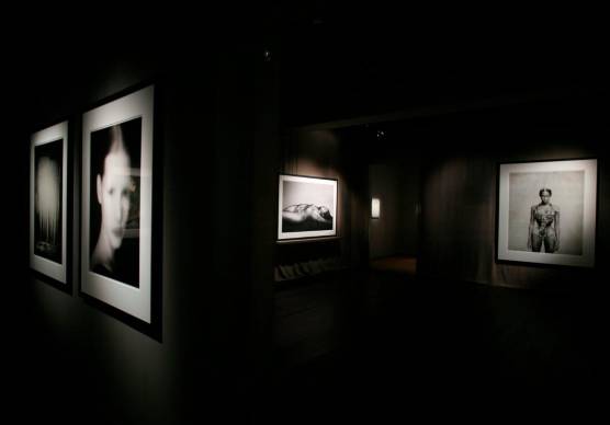 Ravenna, ha aperto i battenti la Galleria Paolo Roversi