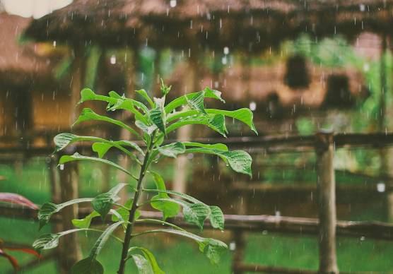Meteo Romagna, pioggia e temporali: allerta gialla martedì 21 luglio