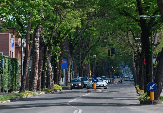 Viale Roma a Forlì (foto Fabio Blaco)