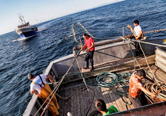 La pesca “a volante” è sempre meno praticata: oggi sono tre le coppie di barche a farla, contro le 5 dei primi anni 2000
