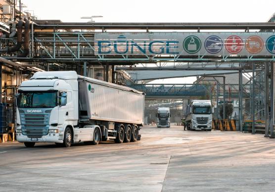 Porto Corsini, Bunge investe 4,4 milioni per la lavorazione della soia