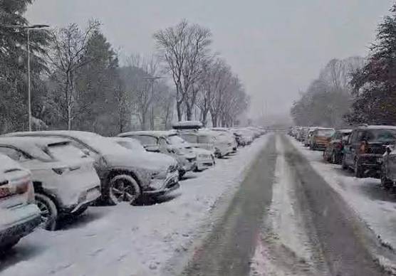 Neve a Forlì, l’assessore Petetta: “Situazione sotto controllo”