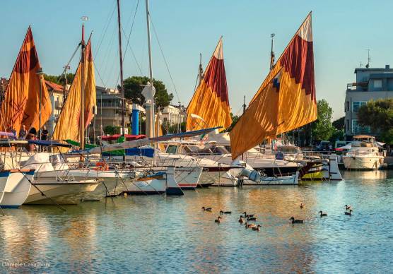 Riccione. Al porto si impara l’arte dei nodi marinari
