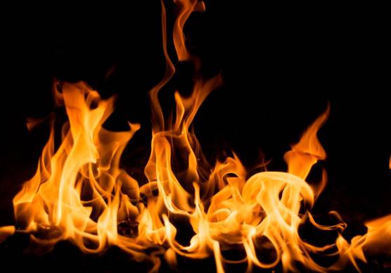 Ravenna, appicca il fuoco al parco bruciando sterpaglie e rifiuti: denunciato dalla Polizia