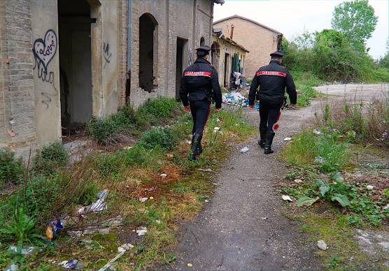 Foto e video Massimo Fiorentini