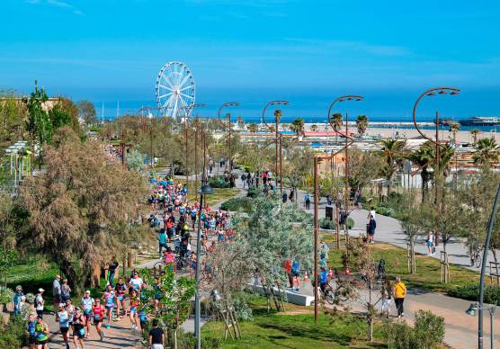 Rimini Marathon 2026: percorso, viabilità, tutto quello che c’è da sapere