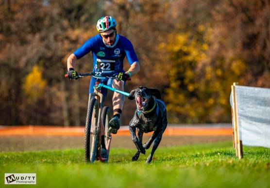 Luca Pilato con i suoi cani in alcune gare di canicross